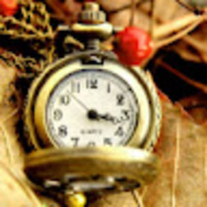 Meet your Posher, Leia